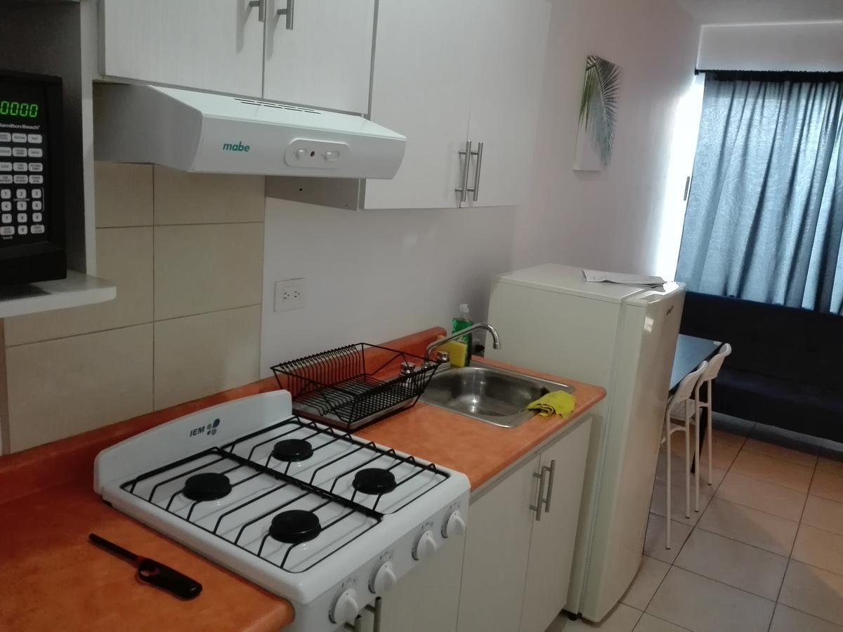 Mv Suites Монтеррей Екстер'єр фото